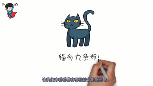 为什么说猫有九条命?难道它们真的有九条命吗?