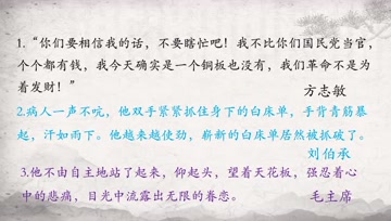 咖啡猫简谱_咖啡猫图片真猫图
