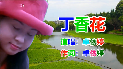 卓依婷《丁香花》经典老歌 _怀旧老歌