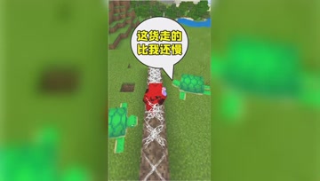 我的世界：小熊挑战最慢移动速度，连海龟都跑不过！