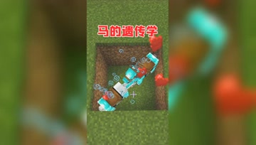 我的世界：用过加速药水的马能遗传给后代？神速不是梦！