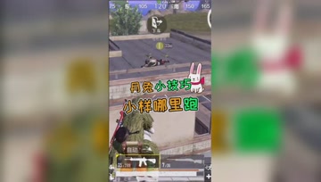 和平精英奇怪君：当敌人趴在房顶？玉兔坐骑的正确打开方式