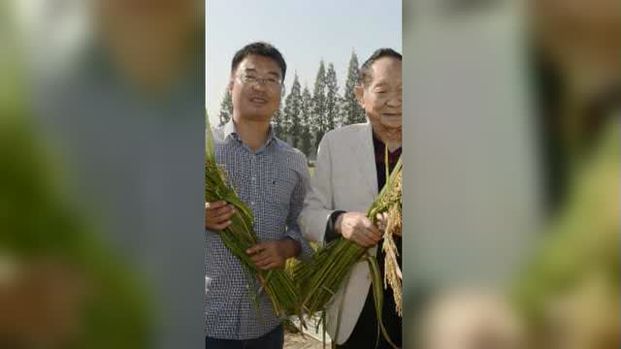 袁隆平团队最年轻成员李建武:看我种田好,袁院士点名破格要我