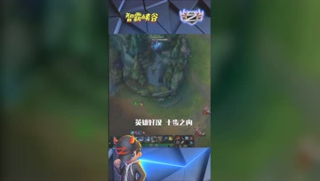 LOL小智：英雄好汉十步之内，必有杀你之人！