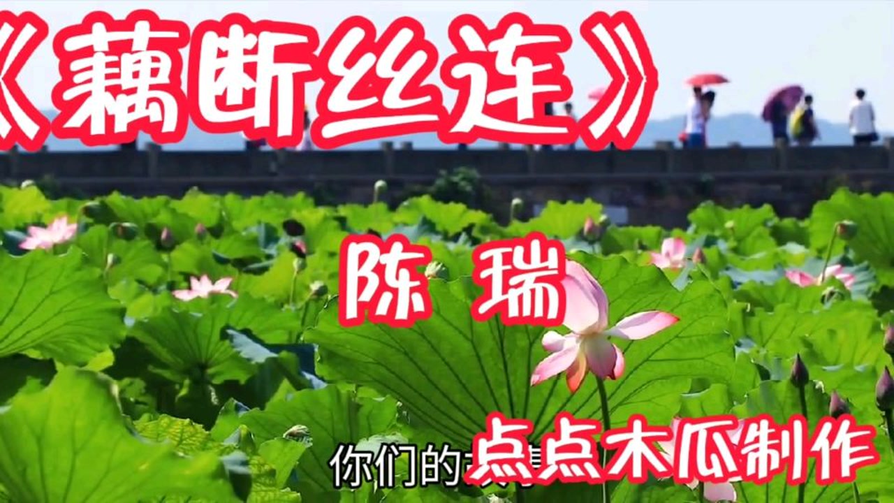 《藕断丝连》陈瑞