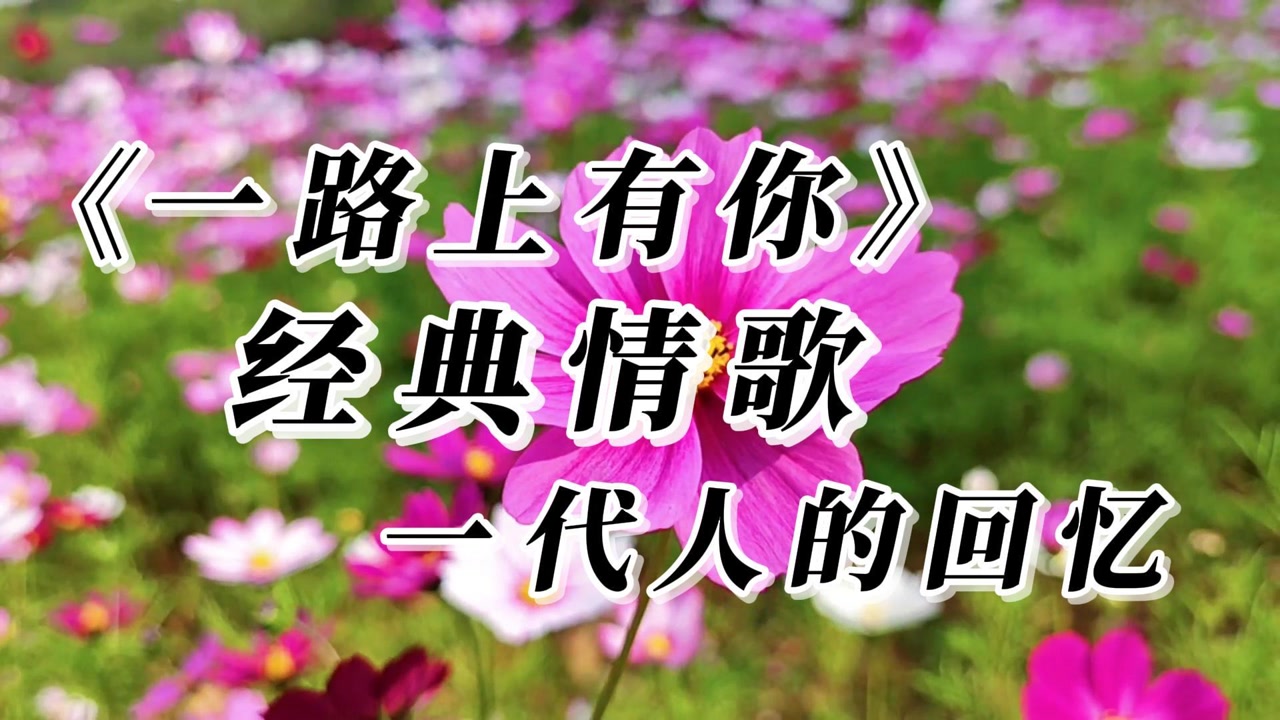 不老情歌《一路上有你,真是太好听了,一代人的回忆