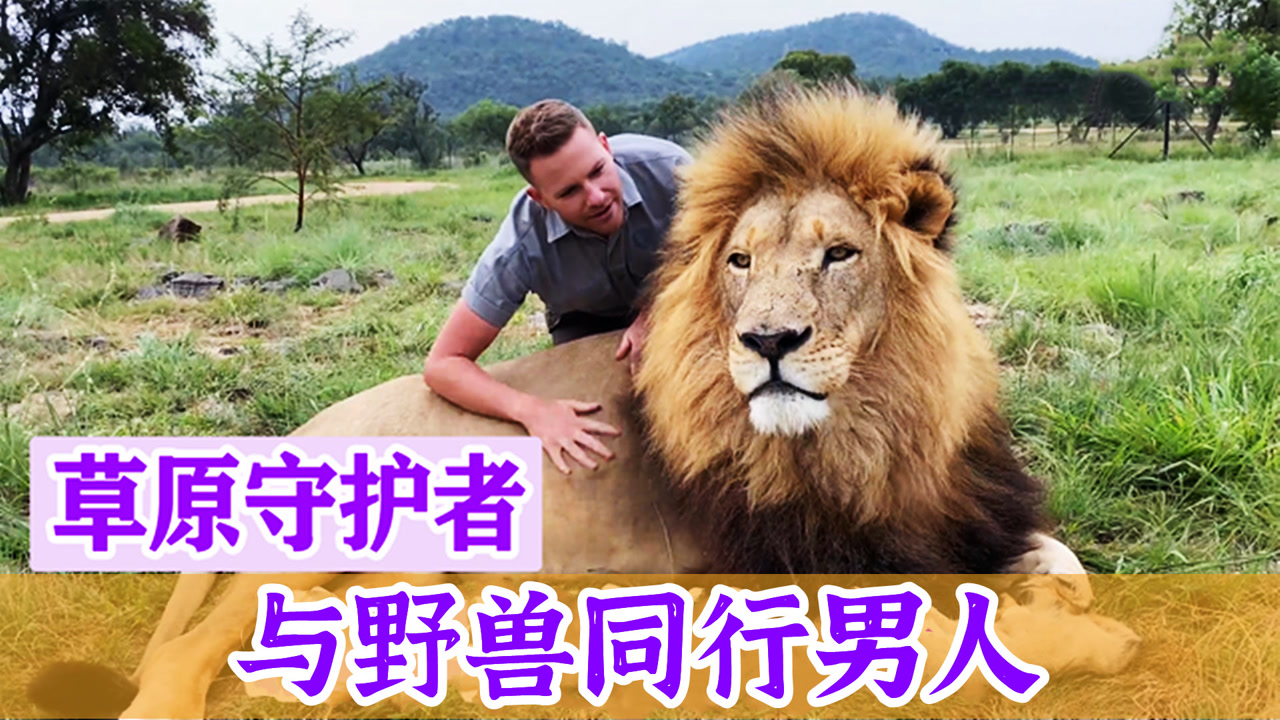 草原守护者:外国小伙与野兽同行,网友:视频断更可以