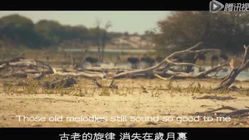 昨日重现中文简谱_昨日重现简谱(2)