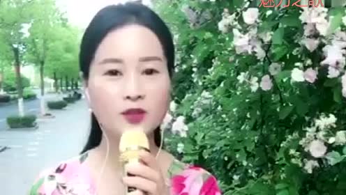 徽州美女孟欣雨在蔷薇花下深情演唱《我在春天里等你》