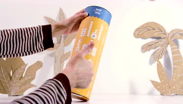 西班牙积木 大象马戏团