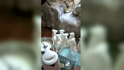 成语蝉喘什么干_成语故事图片
