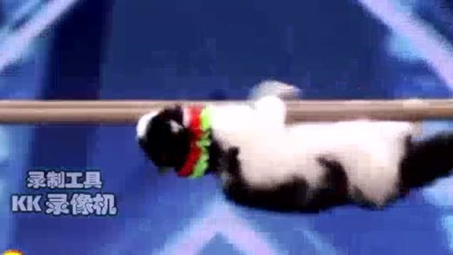 恶搞爬树音乐视频，恶搞爬树音乐视频大全