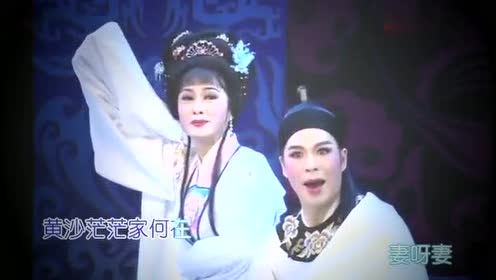 潮剧「凝就真爱留人间」张怡凰 林初发《鸳鸯情缘》选段