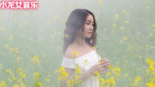 简谱小龙女_刘亦菲小龙女(2)