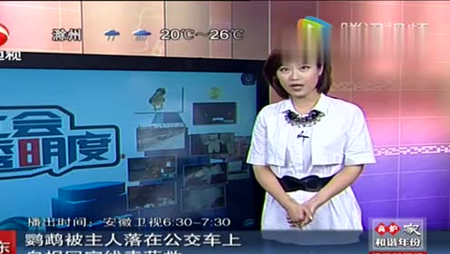 诡异奇闻录，探索未知世界的短剧免费观看，诡异奇闻录，免费探索未知世界的短剧