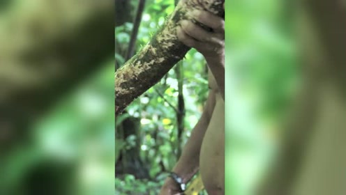 原始人性行为大全 腾讯视频