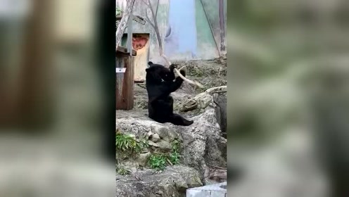温柔乡人口_人口普查