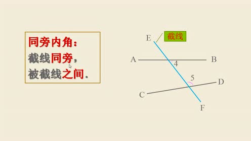 新世紀(jì)版七年級數(shù)學(xué)上冊