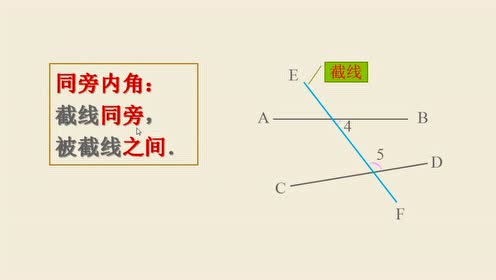 新世纪版七年级数学上册