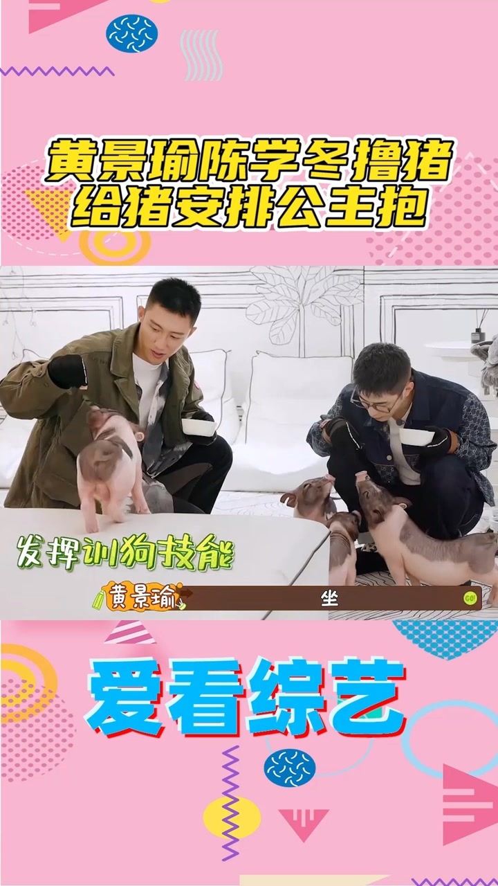 黄景瑜陈学冬撸猪,给猪安排公主抱!