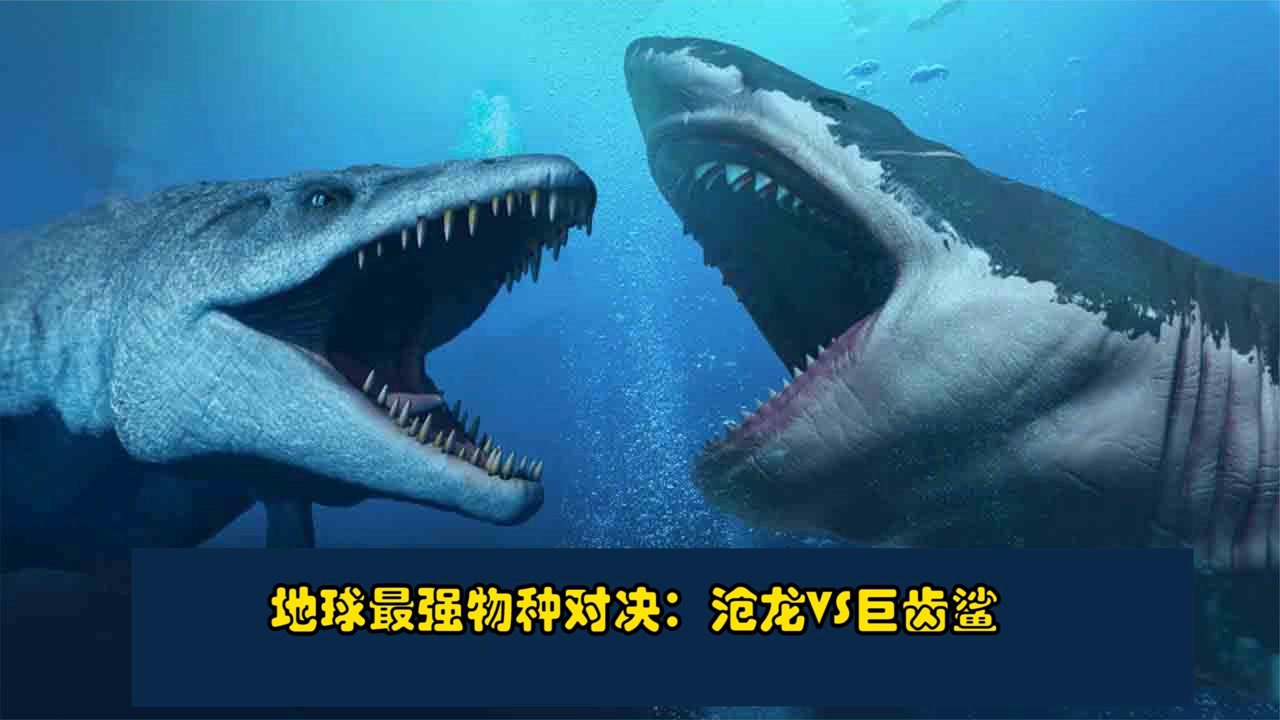 史前最可怕的物种对决,沧龙和巨齿鲨,谁才是进化以来