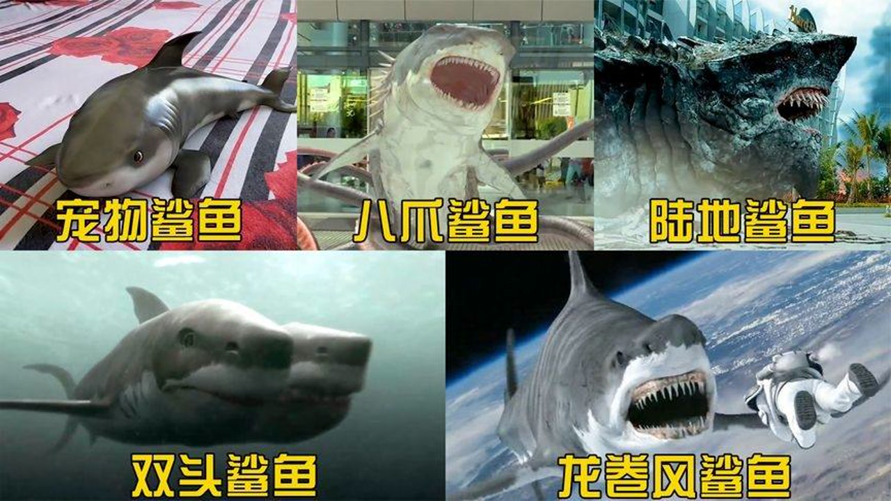 盘点五个版本的变异鲨鱼,你觉得哪个更厉害?宠物鲨鱼好可爱啊