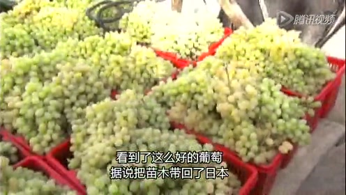 Nhk新丝绸之路 腾讯视频