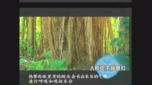 老教科版五年级科学上册一 生物与环境