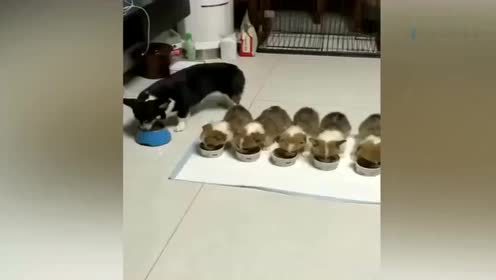 小超人内衣_干净小超人主题墙图片