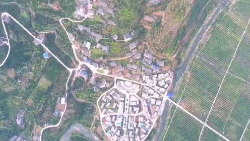 航拍泸州古蔺马蹄甜橙基地 农旅融合田园牧歌