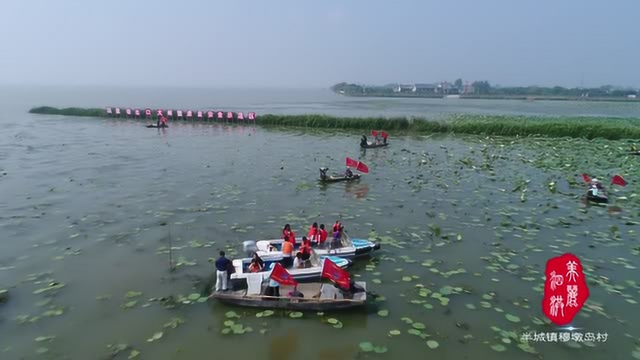 《美丽泗洪》半城镇穆墩岛村