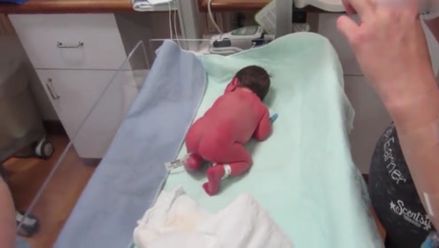 刚出生的宝宝趴在医院的小床上,像个小青蛙似的,简直太可爱了!