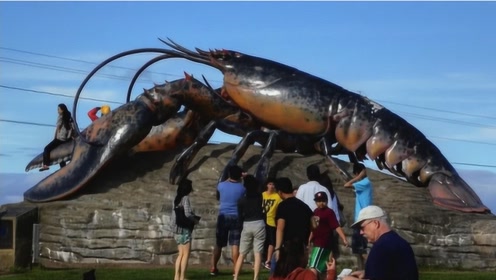 世界上最长寿的龙虾王,存活了100年,网友:吃一口可以长命百岁!