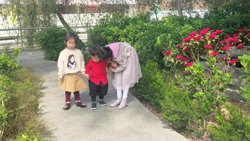 竹林村游戏 腾讯视频