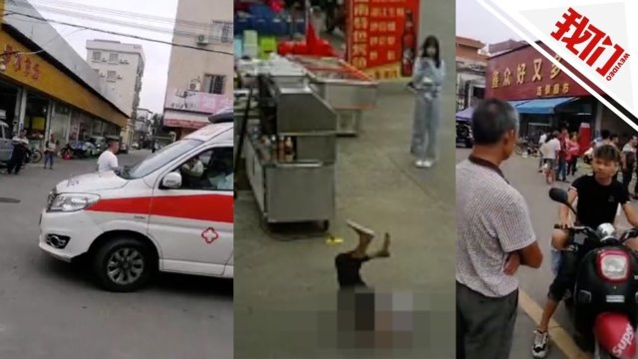 律师解读“佛山老人被狗绳绊倒身亡”:狗主人和女孩父母都应承担民事责任