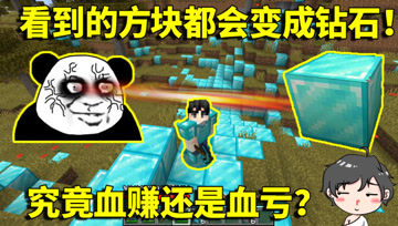 我的世界生存挑战：看到的方块都会变成钻石！究竟血赚还是血亏？