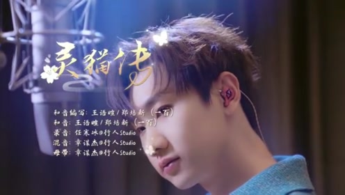 汪苏泷《灵猫传》,《灵猫传》手游同名主题曲