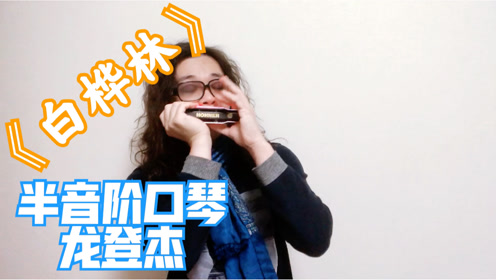 《白桦林口琴深情演绎朴树经典歌曲
