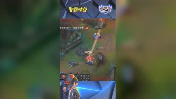 LOL小智：天秀VN爆秀纳尔完成单杀，这一刻你想到了谁？
