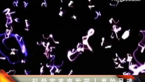 科学解释灵魂ScienceSpirituality