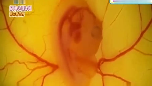 腾讯视频