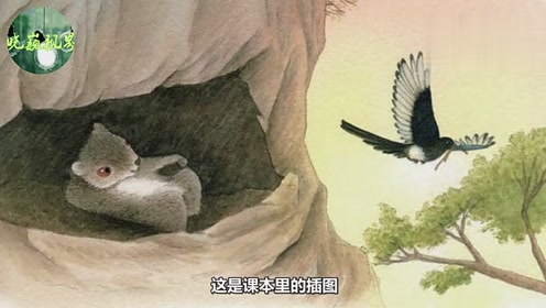 浙教版三年级语文上册17 寒号鸟