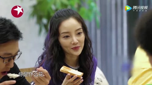 太阳花女神新闻 腾讯视频