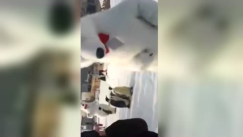 东北 恶搞视频，东北恶搞视频的小伙