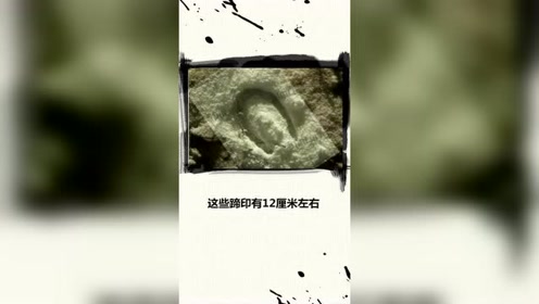 拉过勾的简谱_星游记图片大全拉过勾