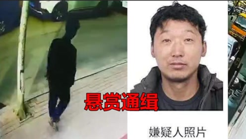 肇东恶性案件嫌犯在哈尔滨现身 警方:致一死一伤,悬赏通缉