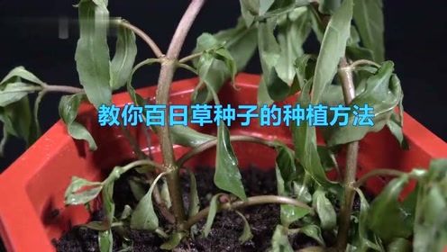 腾讯视频