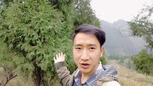 阿斌的短剧，人生的舞台与情感的交织