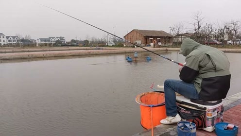 秋冬季节就这样钓鱼,黑坑钓鲤鱼鲫鱼,天冷水凉小鱼多有办法,钓得还不