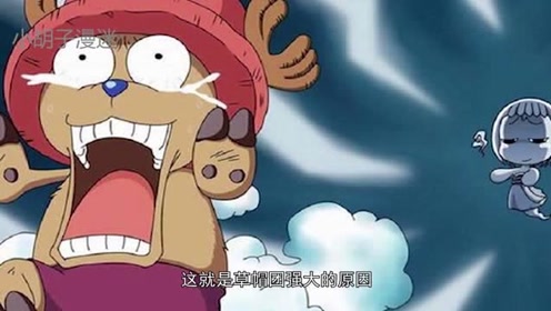 海贼王:草帽一伙的后台有多硬?除了乔巴其他只能活捉
